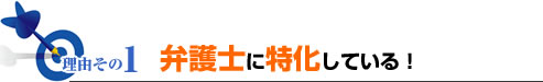 理由その1弁護士に特化している！