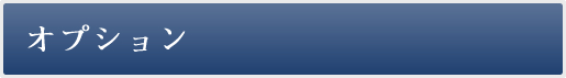 オプション
